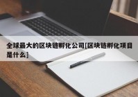全球最大的区块链孵化公司[区块链孵化项目是什么]