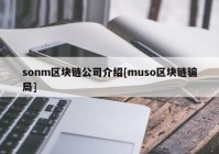 sonm区块链公司介绍[muso区块链骗局]